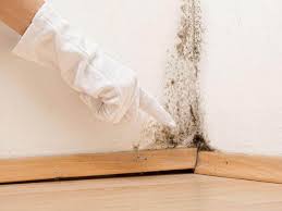 Best Emergency Mold Remediation  in Brodheadsville, PA